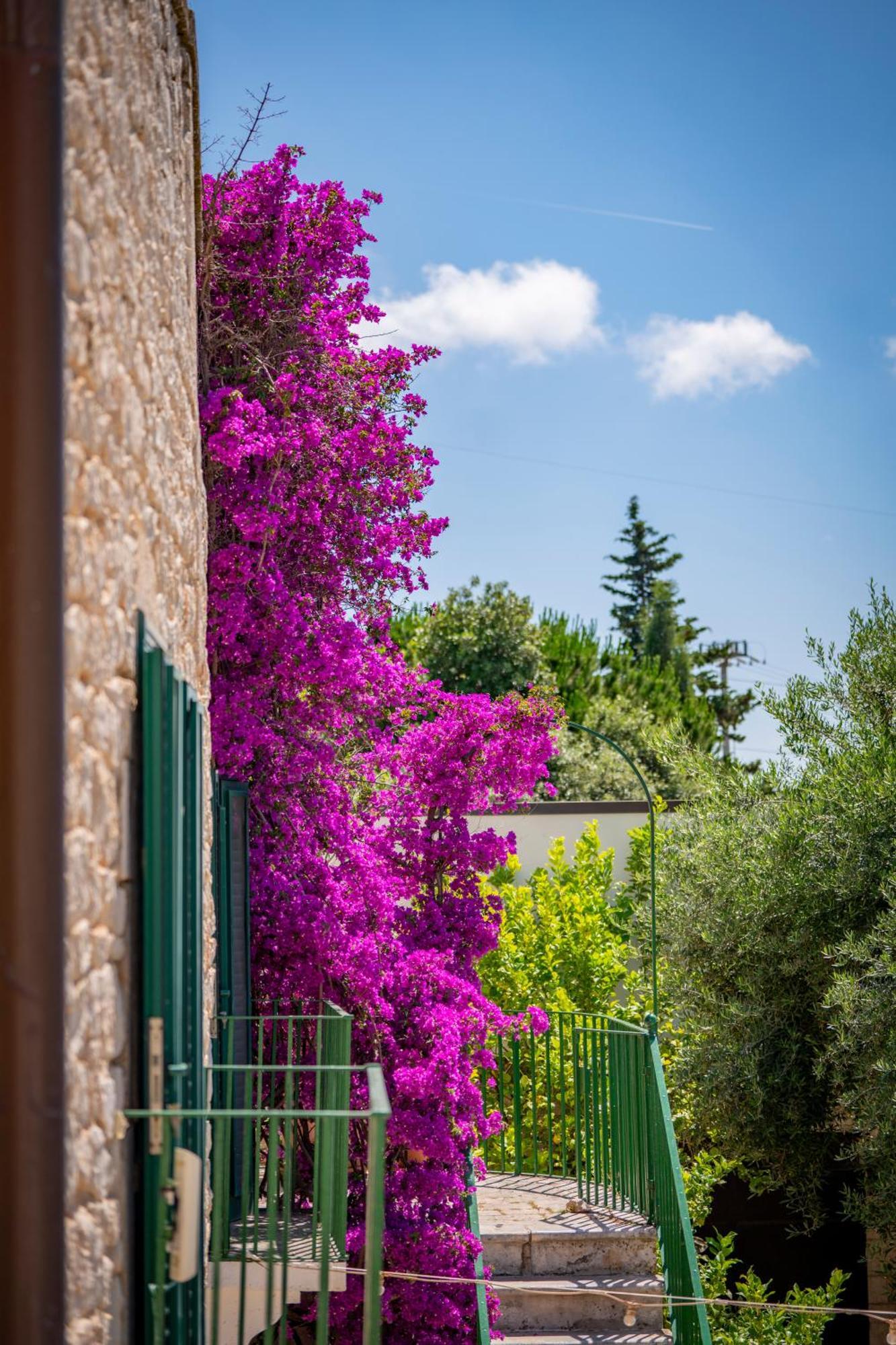 Masseria Montepaolo Dimora Di Charme Конверсано Экстерьер фото